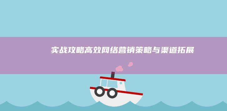 实战攻略：高效网络营销策略与渠道拓展